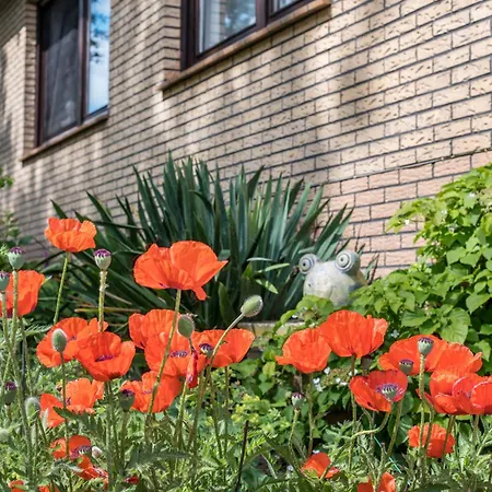 Loy Сasa de vacaciones